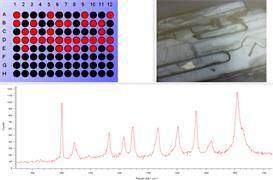 Automated analysis of API polymorph particles within a 96 well plate